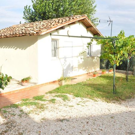 Villa La Vite sul Tetto Agugliano Esterno foto