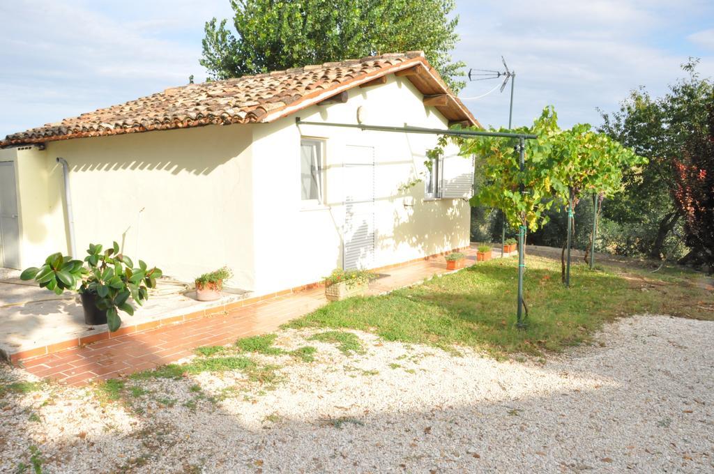 Villa La Vite sul Tetto Agugliano Esterno foto