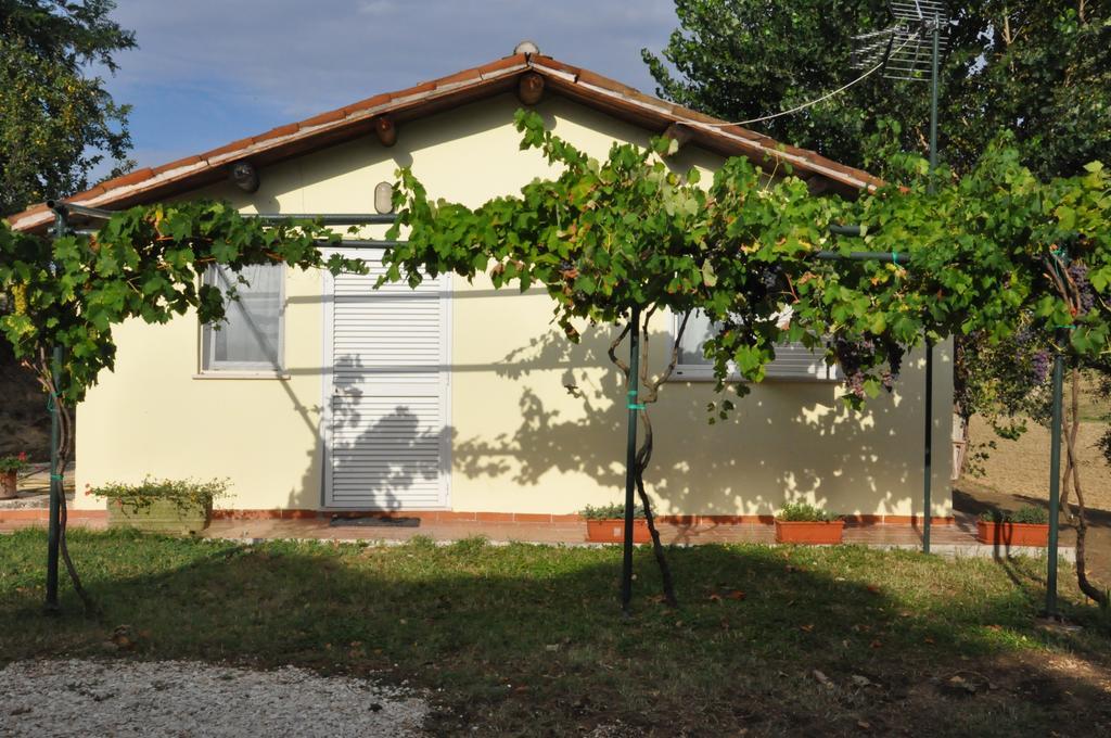 Villa La Vite sul Tetto Agugliano Esterno foto