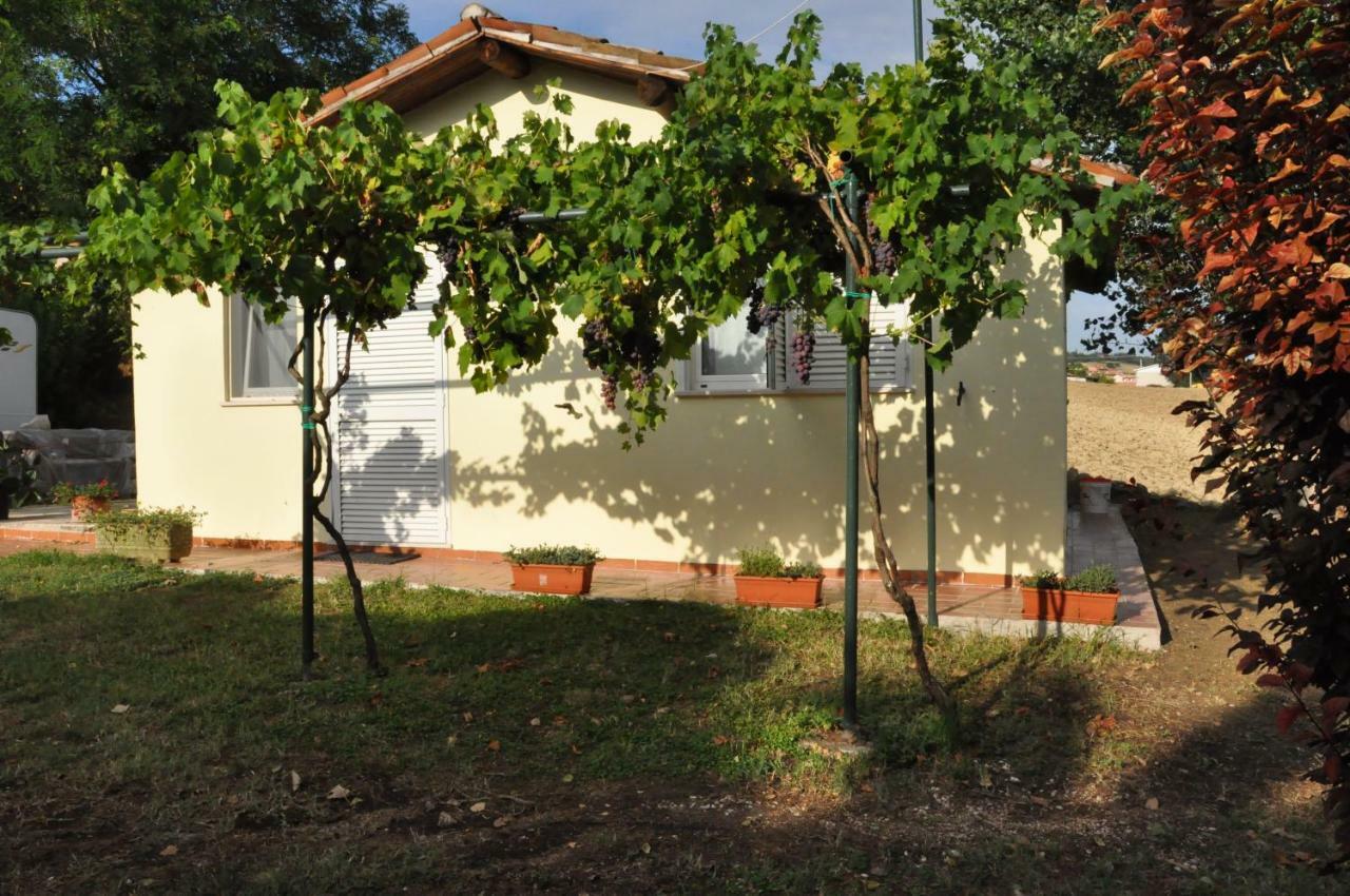 Villa La Vite sul Tetto Agugliano Esterno foto